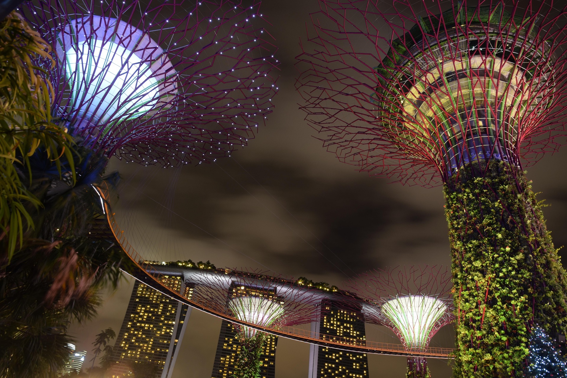littlemouse-supertree-1158602_1920.jpg