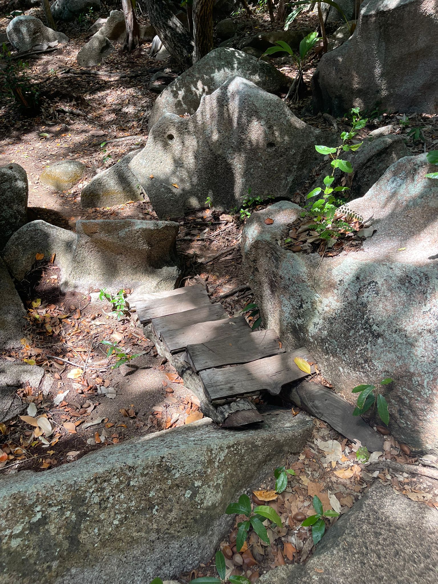 La Digue Strandweg.jpeg