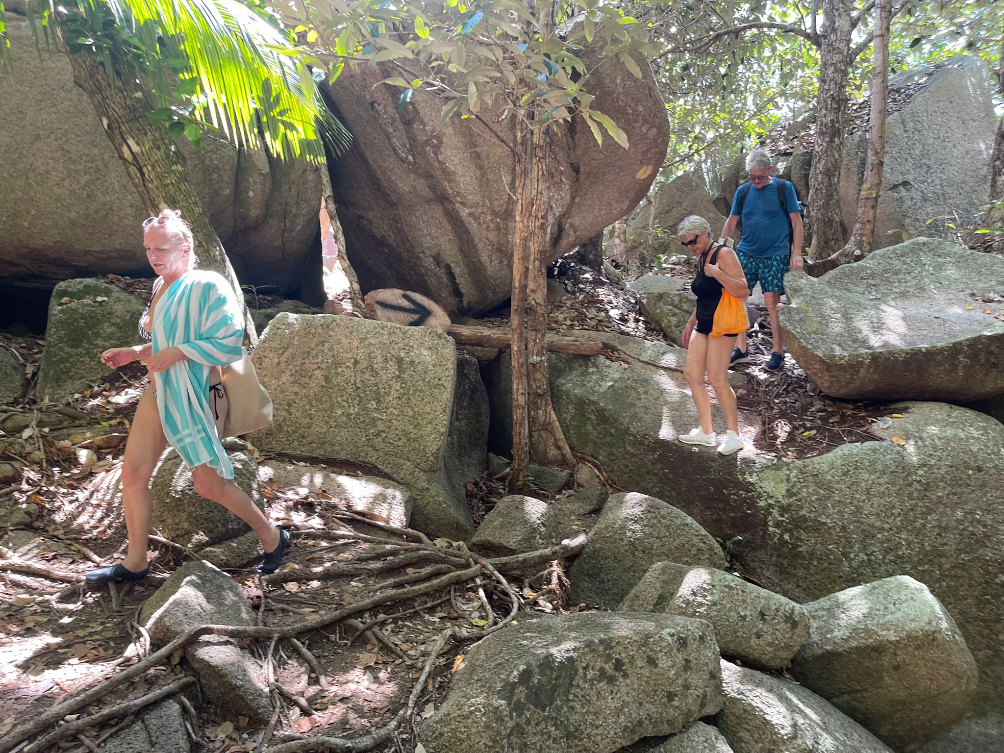La Digue Strandweg III.jpeg
