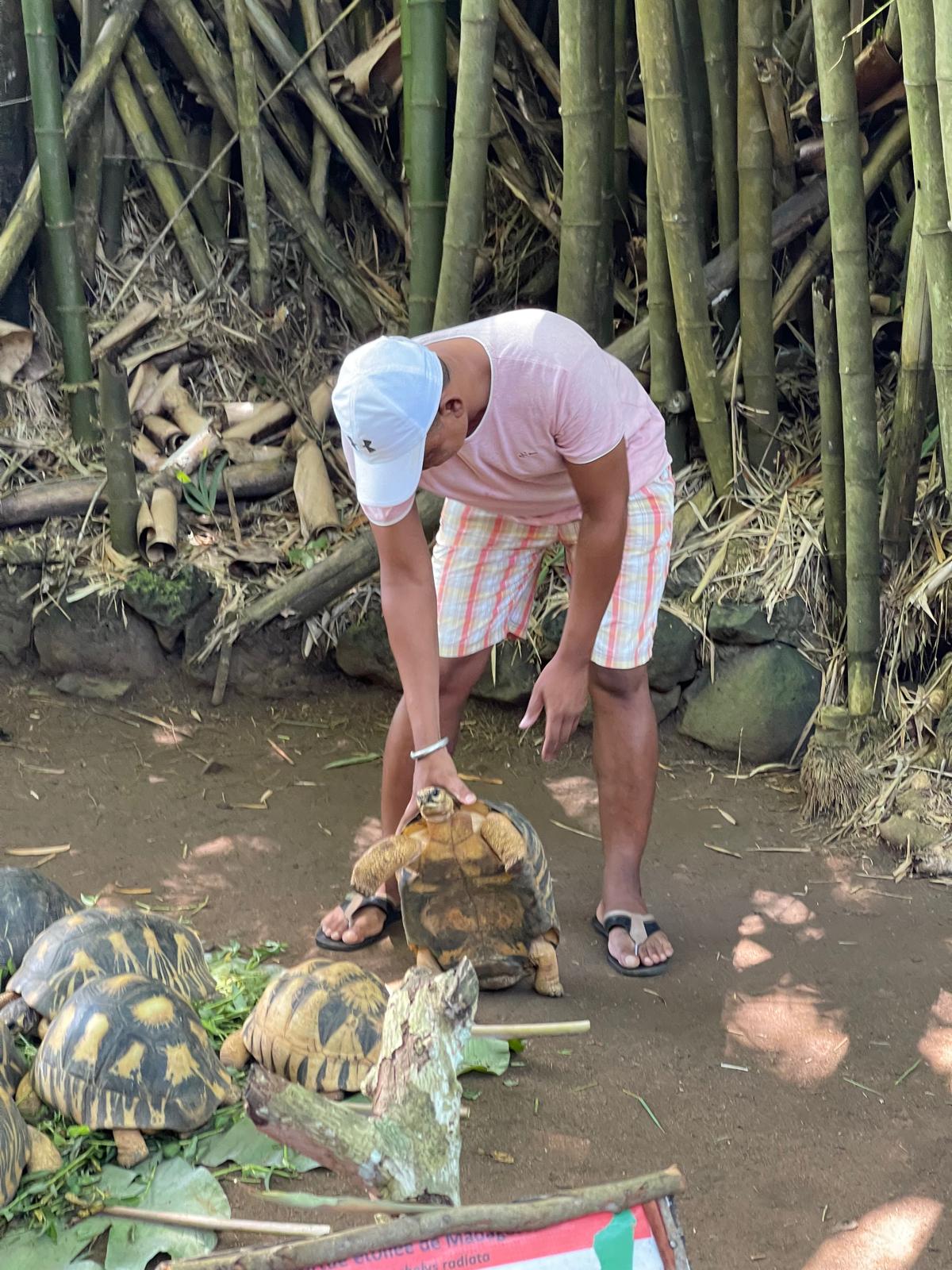 Lemuren Park Mini Schildkröte.jpeg