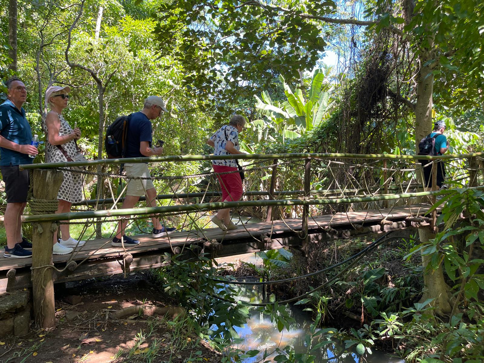 Lemuren Park Brücke II.jpeg
