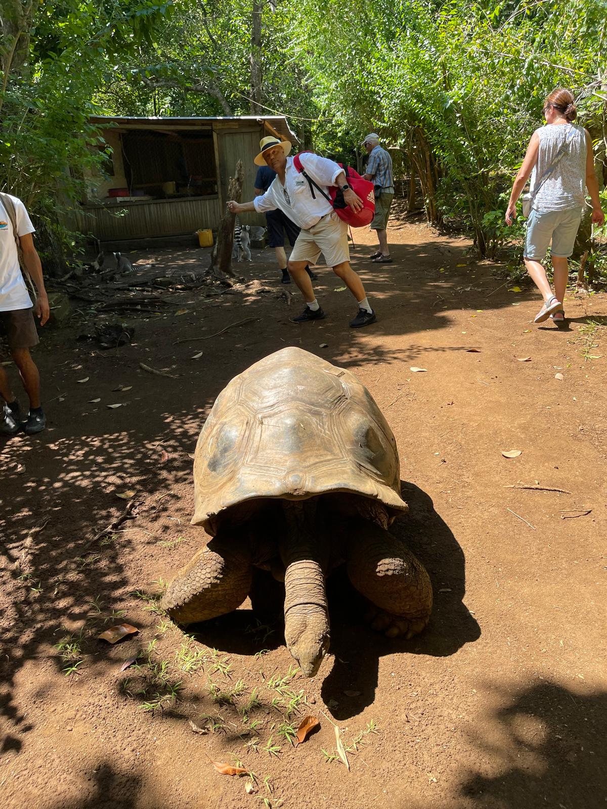 Lemuren Park Schildkröten.jpeg