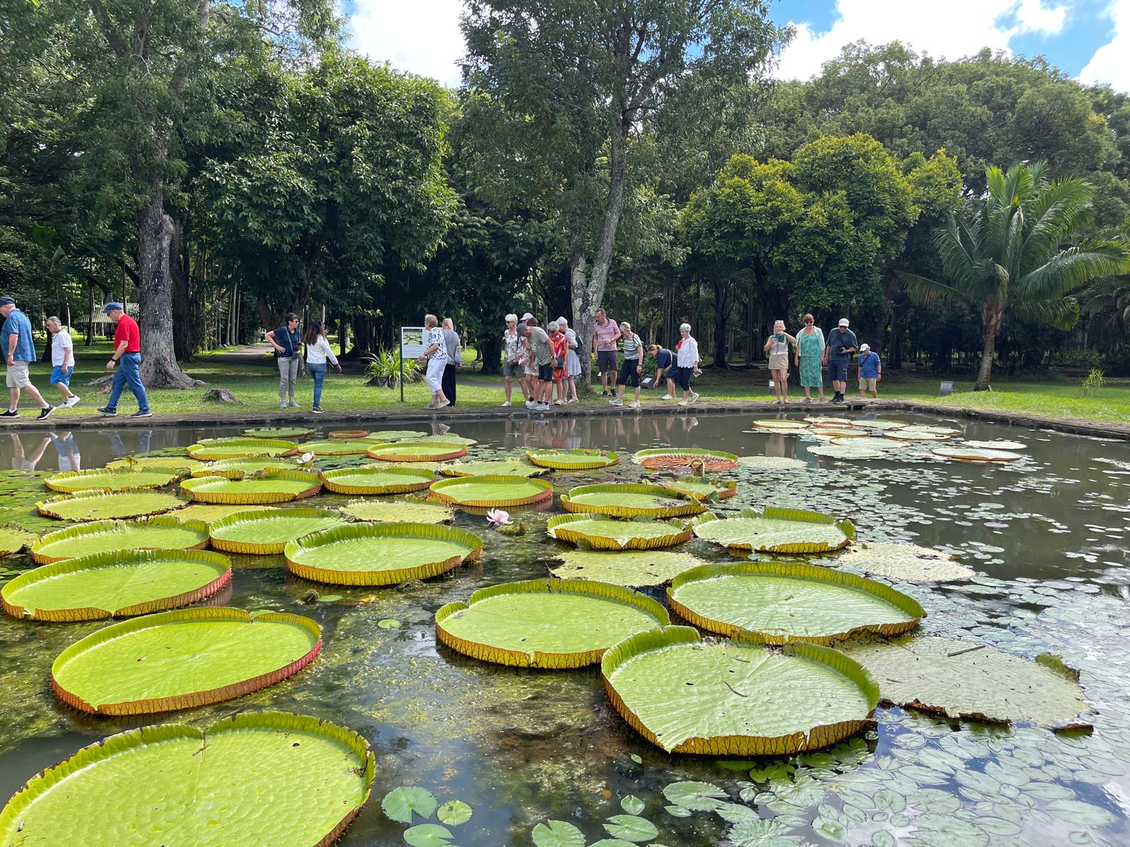 Botanical Garden Port Louis Mauritius XII.jpeg