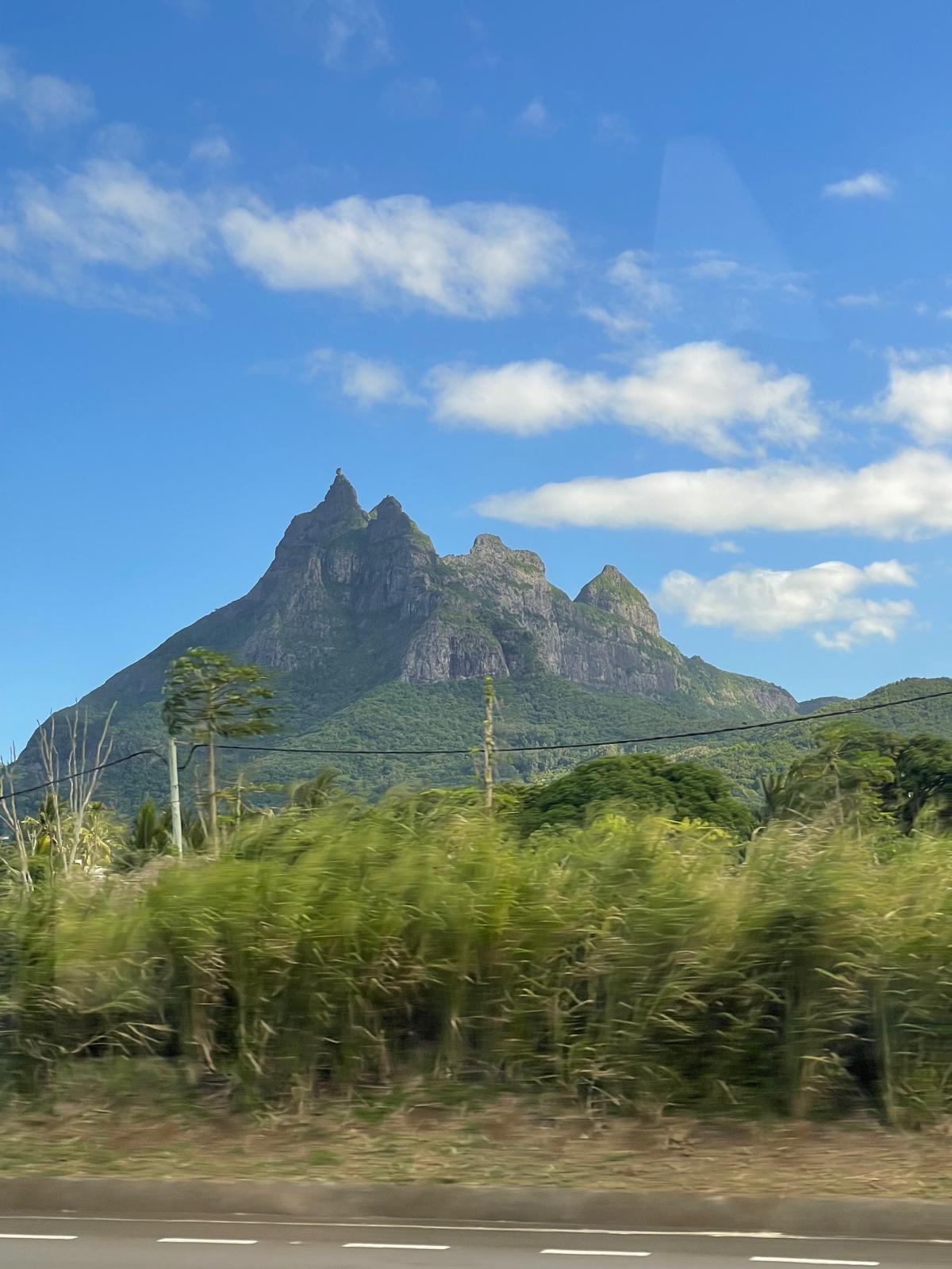 Berg auf Mauritius.jpeg